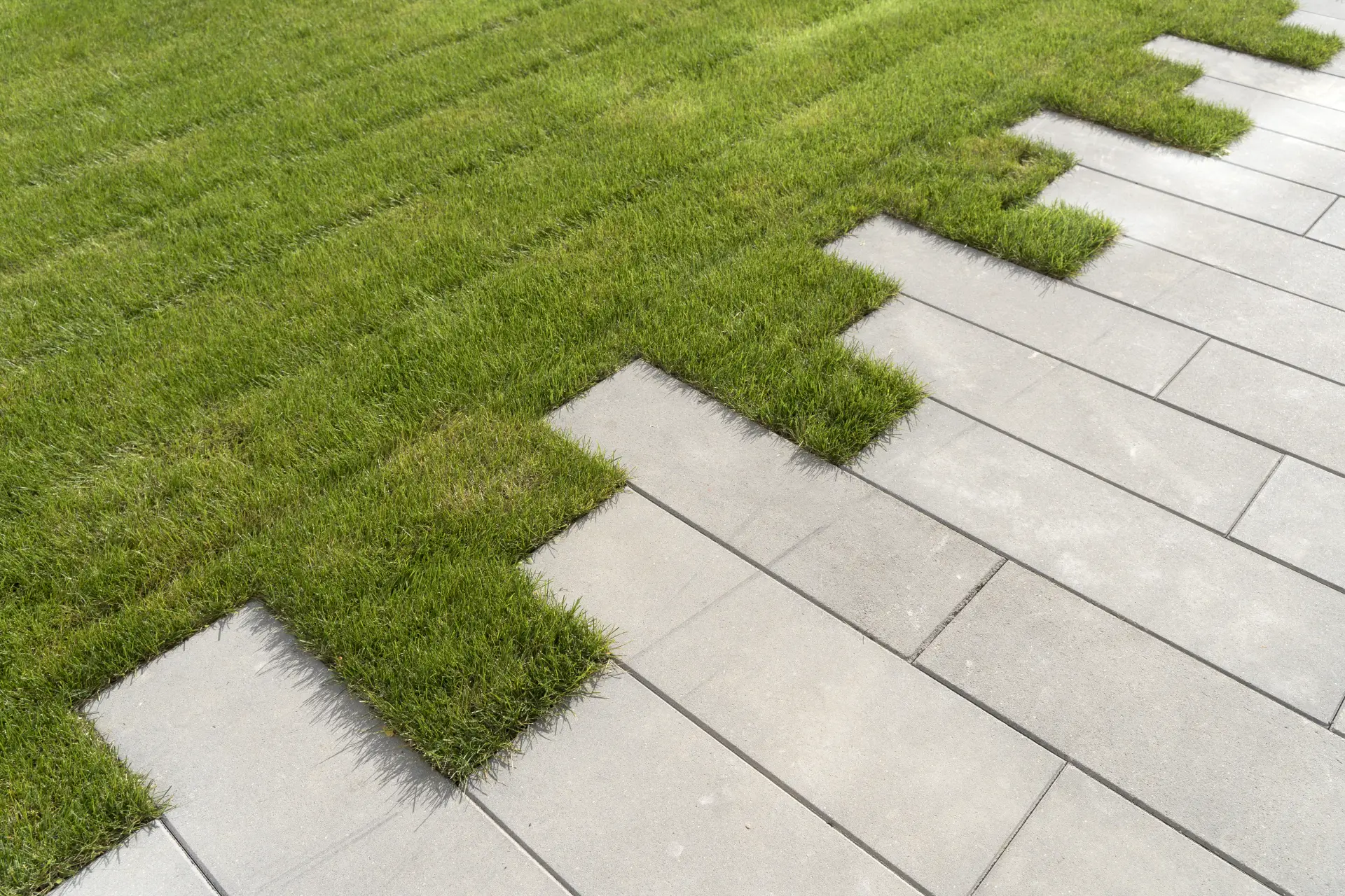 DIY vs Professional Installation