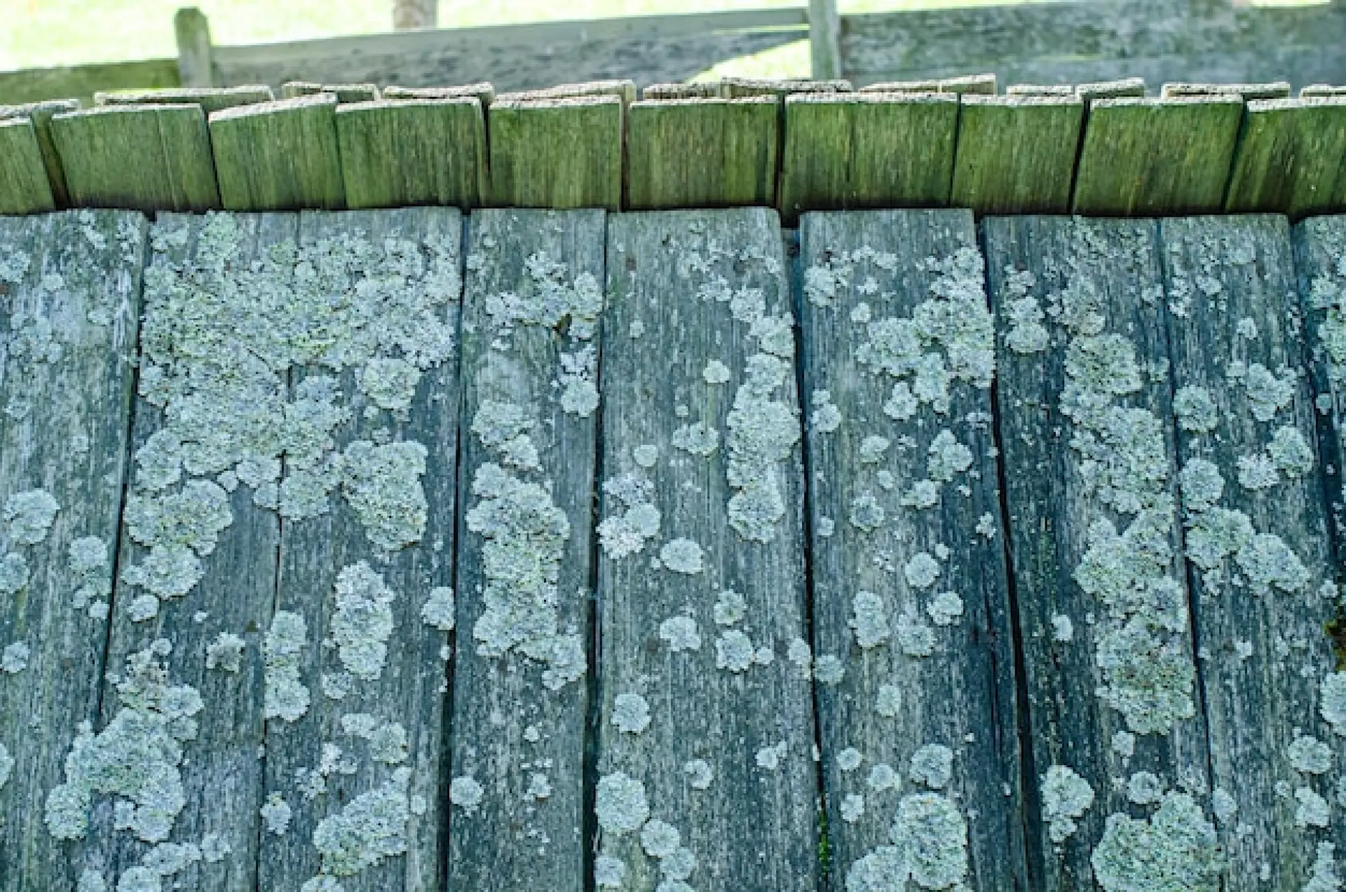 How to Maintain Your Deck After Installation