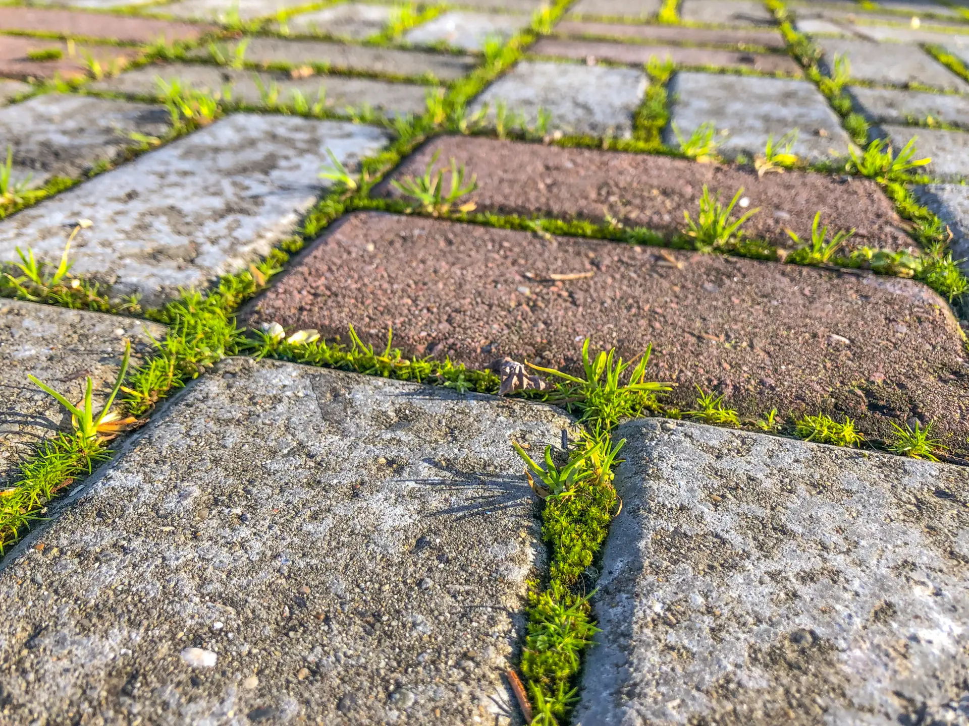 Choosing the Right Hard Landscaping Materials