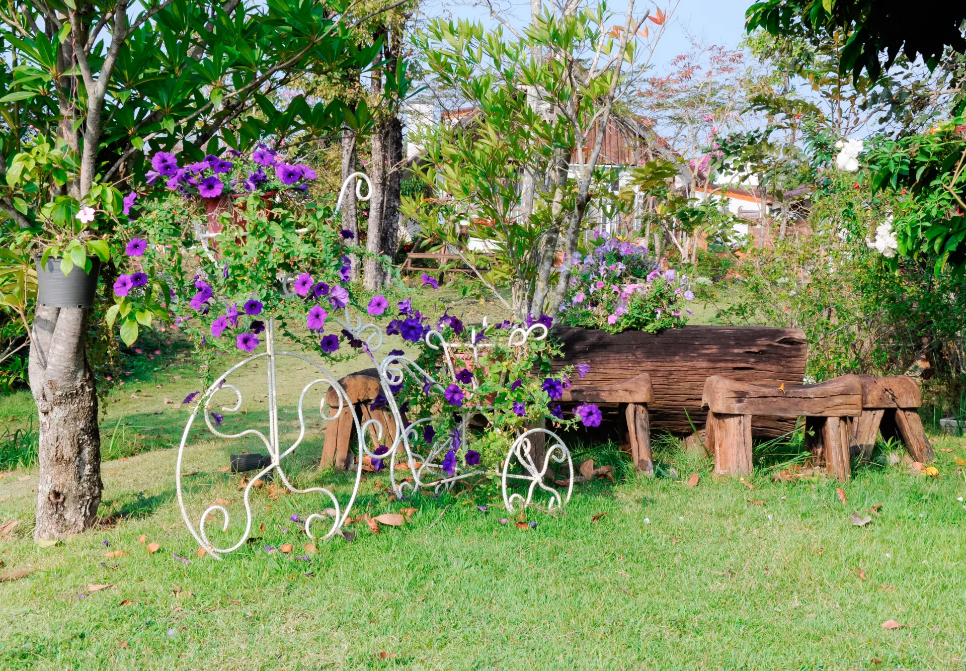 How Hard Landscaping Can Transform Your Outdoor Space